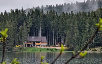 Brown wooden house near the green trees and lakes during the day
